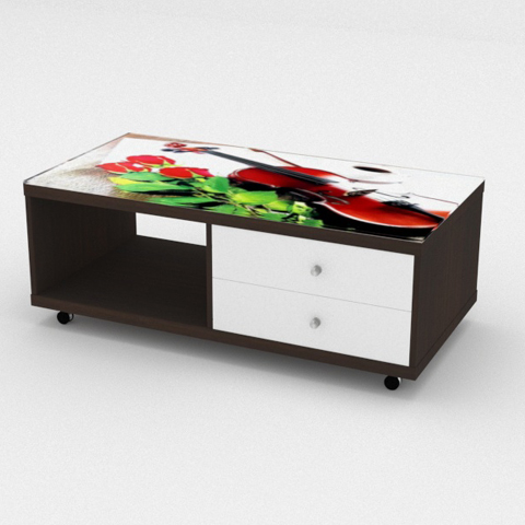 SCT 313 Coffee Table